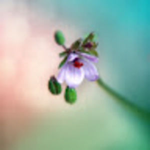 Meet your Posher, Steph